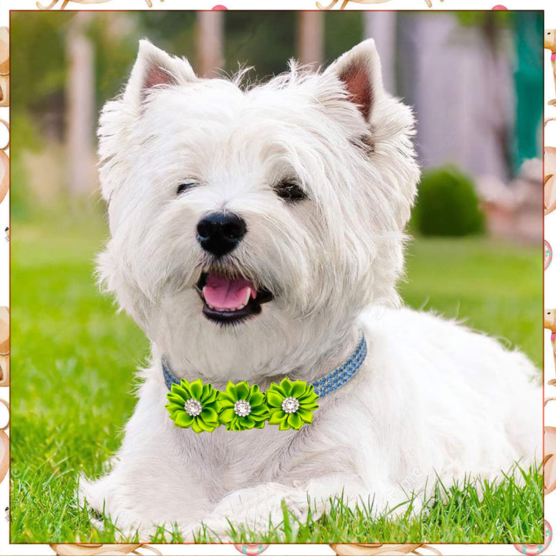 Dog Collar Flowers 10 Pcs Pure Bows with Rhinestones Slip on Collar Small Large Dogs Collars Flower Attachment Grooming Accessories - PawsPlanet Australia