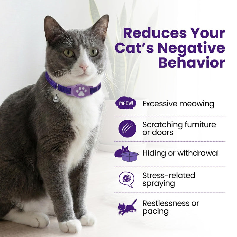 Breakaway Calming Collar Plus - Advanced Feline Pheromone System with Essential Oil Support for Cats – True Breakaway Safety Clasp, Reusable Design, Lasts Up to 60 Days – by Kitty Kompass