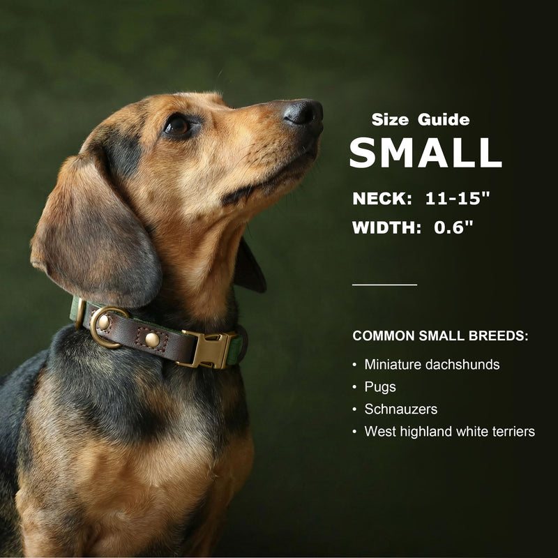 Didog Soft PU Leather Dog Collars for Small Dogs,Classic Adjustable Dog Collars with Quick Release Metal Buckle,Easy Clean and Comfortable with Nylon Lining,Green,S Neck 11-15" S: Neck 11-15", Width 0.6" Green