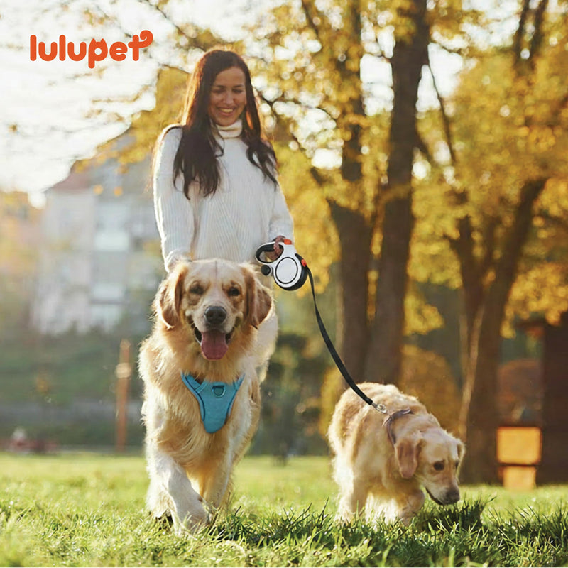 3 in 1 No Pull Dog Harness Leash and Collar Set, Soft Adjustable Dogs Vest Reflective and Comfortable Handle Blue Small S(Neck:13-18",Chest:18-21") 22-43 lbs - PawsPlanet Australia