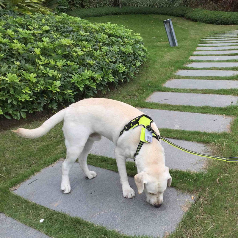 SGODA No Pull Dog Harness with Handle Reflective, Small, Green Small Chest 17-22" - PawsPlanet Australia
