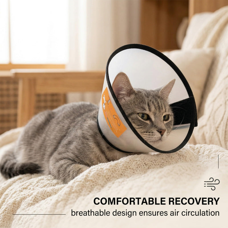 Pet Cone Recovery, Soft Cat Neck Brace, Suitable for small to medium-sized cats weighing 3 to 8 kg (neck circumference 27-31 cm)