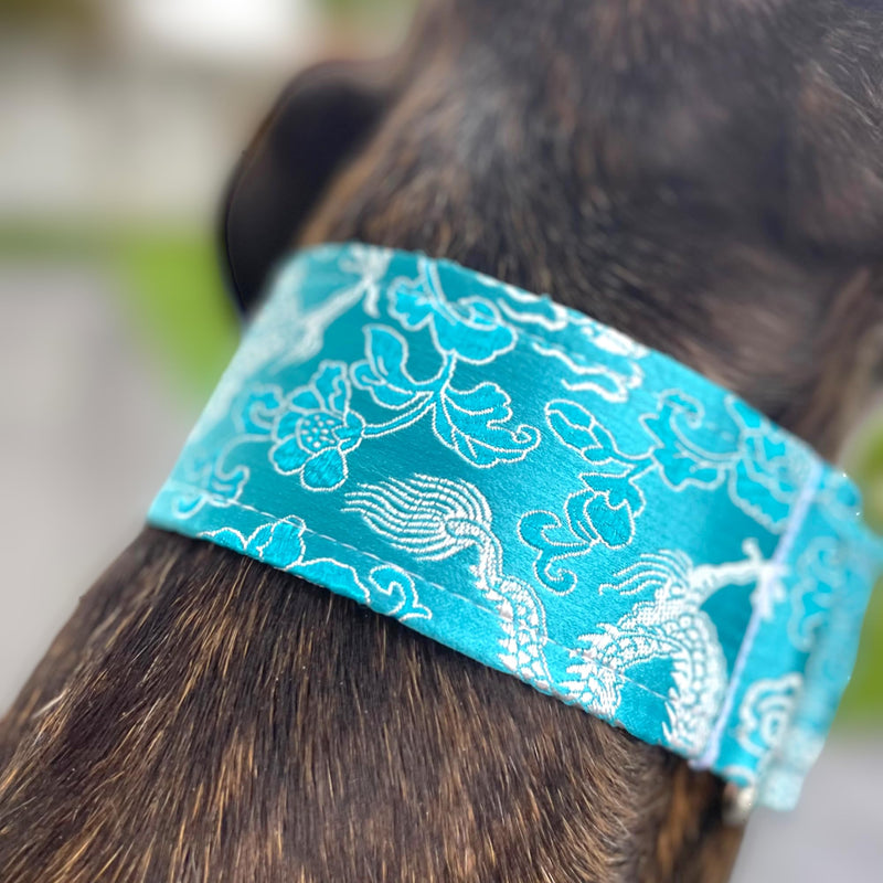 Extra Soft Martingale Dog Collar for Greyhound Saluki Whippet and Other Breeds with Similar Neck 2" Wide (14"-18") 14"-18" - PawsPlanet Australia