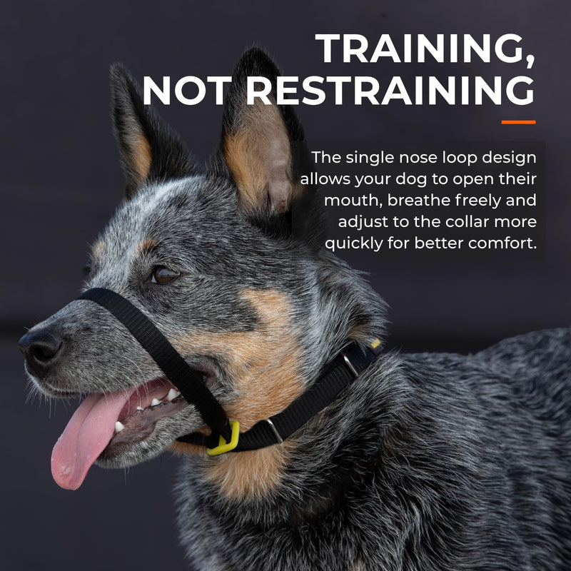 Canny Collar No-Pull Dog Head Collar | Gentle & Humane Leash Training Aid for Small Dogs | Stops Pulling – Comfortable Control for Walking & Obedience | Red, Size 2 11-13in neck - Size 2 - PawsPlanet Australia