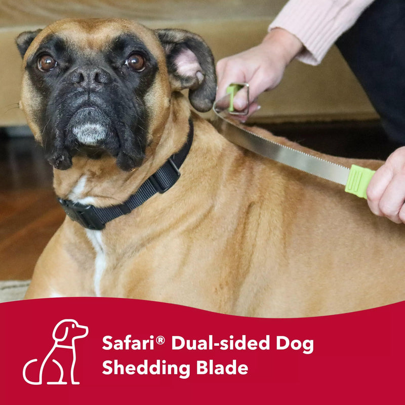 Coastal Pet Safari Dual-Sided Dog Shedding Blade - Stainless Steel Grooming Blade for Thick Coats - for Dogs with Short and Long Hair - Medium-Large - 10" x 3.25" 1-Pack NO Color - PawsPlanet Australia