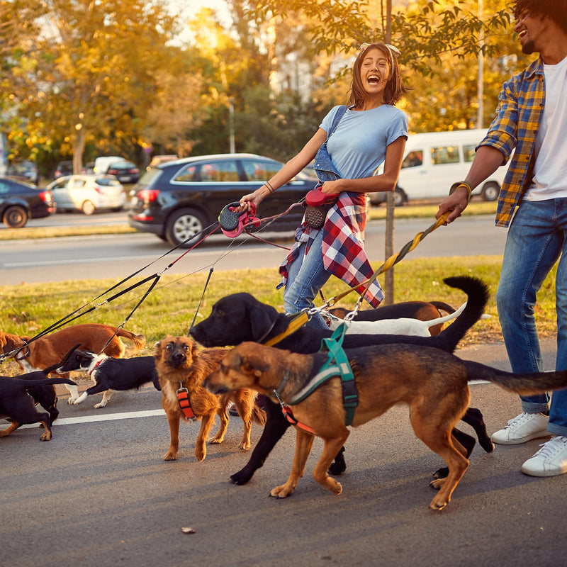 Saintrygo 8 Pieces Dog Collar Clip Prong Collar Safety Clip Adjustable Nylon Backup Harness Connector, Double Ended Backup Clasp for Dog Harness Pet(Warm Colors) Warm Colors - PawsPlanet Australia
