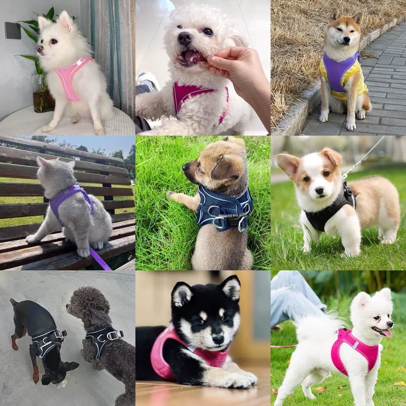 Dog Harness with Leash Set，No-Pull Pet Harness with 2 Leash Clips, Adjustable Soft Padded Dog Vest for Extra-Small/Small Medium Large Dogs and Cats(Pink,XSmall) XSmall(Chest:12.5"-14.5") Pink2 - PawsPlanet Australia