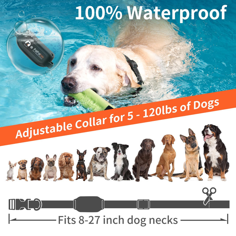PaiPaitek Dog Vibration Collar with Controller No Shock, 3300ft Waterproof Training Dog Collar Beep and Vibrate Only, Security Lock & Rechargeable Vibrating Collar for Dogs 5-120 lbs - No Prongs PD519V1-OR - PawsPlanet Australia