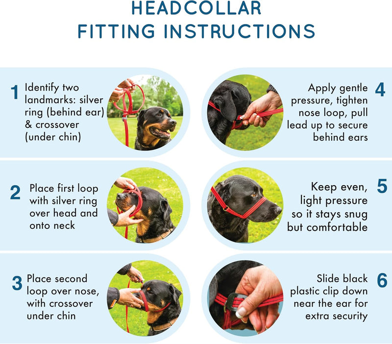 Extra-Wide Anti Pull Dog Headcollar - Trainer Approved - Soft & Gentle Control - Practical Dog Training & Behaviour Aid - Right Hand - UK Made - Doesn't Include Lead - Red Large | X-Wide