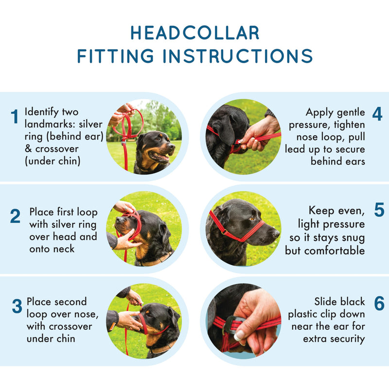 Extra-Wide Anti Pull Dog Headcollar - Trainer Approved - Soft & Gentle Control - Practical Dog Training & Behaviour Aid - Right Hand - UK Made - Doesn't Include Lead - Red Large | X-Wide - PawsPlanet Australia