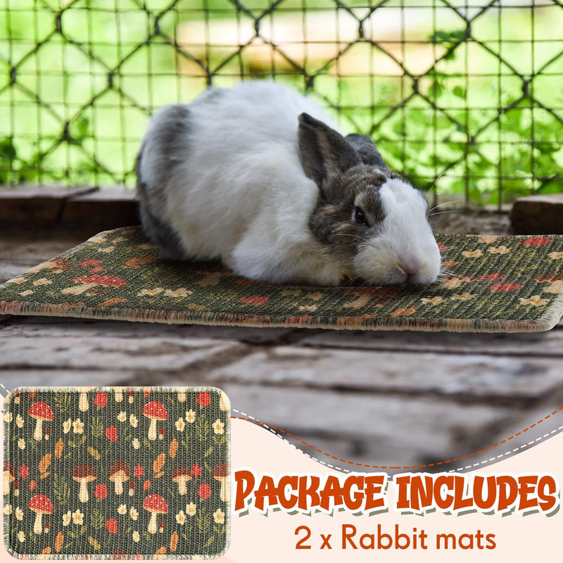 2 Pcs 16 x 12''Rabbit Scratch Mat Natural Bunny Scratching Pad Claws and Teeth Care Rabbit Mats for Cages Chew Toys Bunny Pet Cage Bedding for Biting Sleeping Nesting - PawsPlanet Australia