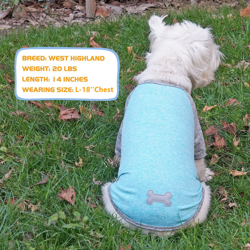 KYEESE 2 Pack Dog Shirt Raglan Sleeve Quick Dry Lightweight Stretchy Dog T-Shirts with Reflective Label Puppy Shirts for Small Dogs Sun Protection, Medium, Grey+Blue Medium (7-13lbs) 2# 2Pack(Grey+Lake Blue) - PawsPlanet Australia