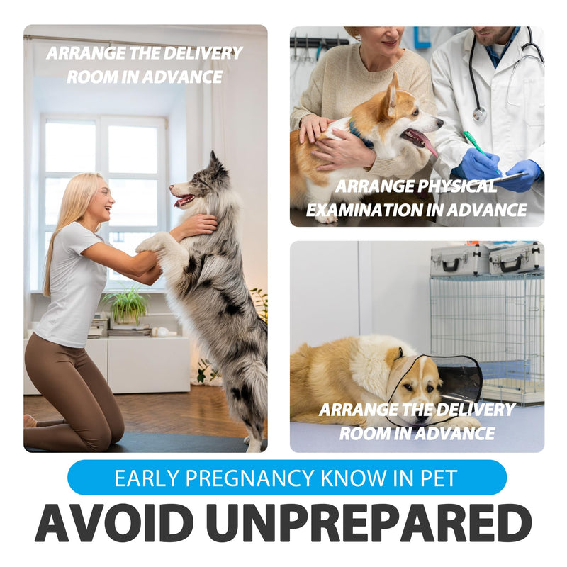 Dog Pregnancy Test Kit - Fast and Accurate Detection, Disposable Pet Clinic Equipment，easily determine if pregnant - PawsPlanet Australia