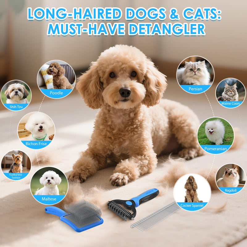 Large Slicker Brush for Dogs - 3PC Pet Grooming Kit - Undercoat Rake & Stainless Comb | Long Pins Remove Mats on Poodles, Golden, Labradoodles | Thick Coat Deshedder for Dogs, Cats, Blue - PawsPlanet Australia
