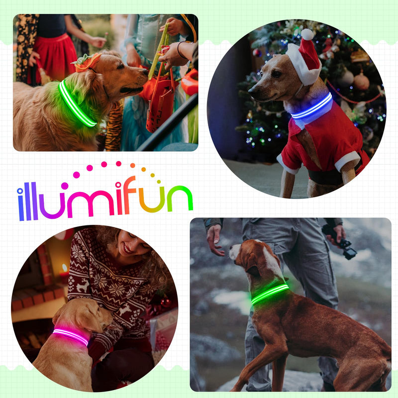 Illumifun Light Up Dog Collar, Rechargeable LED Dog Collar Glow in The Dark, High Visibility Collars Light for Pet Walking at Night (Green, Large) Green - PawsPlanet Australia