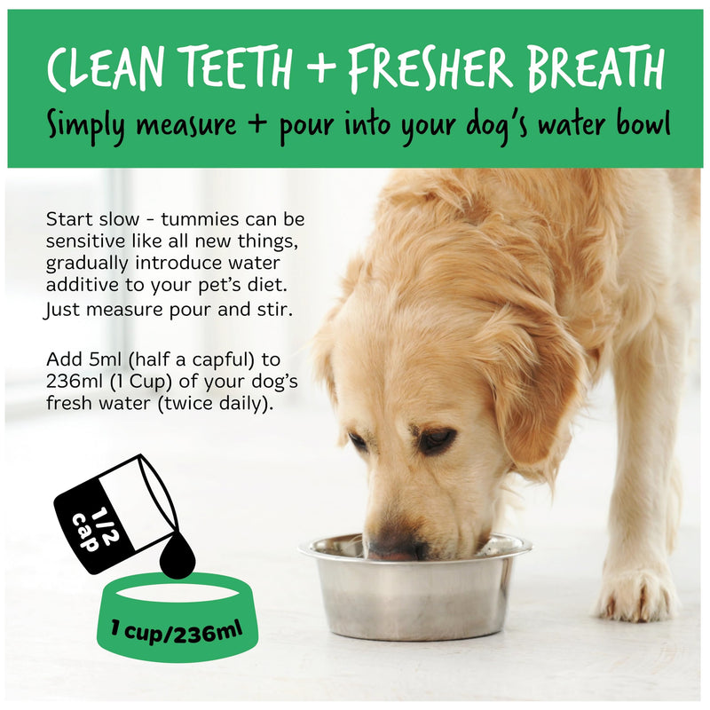 BUGALUGS Dog Breath Freshener Dental Care Water Additive. Clean Teeth, Healthy Gums & Fresh Breath - Natural Dog plaque remover & tartar remover for teeth - No Brushing Needed 500ml Additive - PawsPlanet Australia