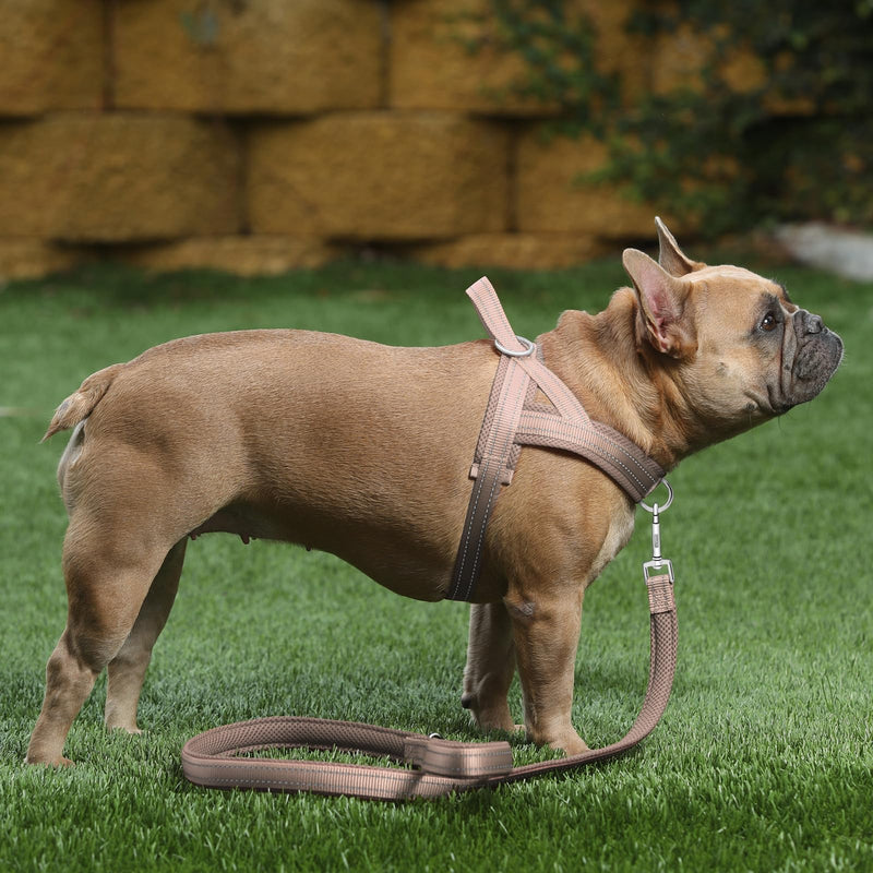 Plutus Pet No Pull Dog Harness with Breathable Mesh Padded, Adjustable Reflective Escape Proof Dog Harness, Quick Fit Dog Vest Harness for Small Medium Large Dogs(M, Beige) M: chest 19.7"-25.2" - PawsPlanet Australia