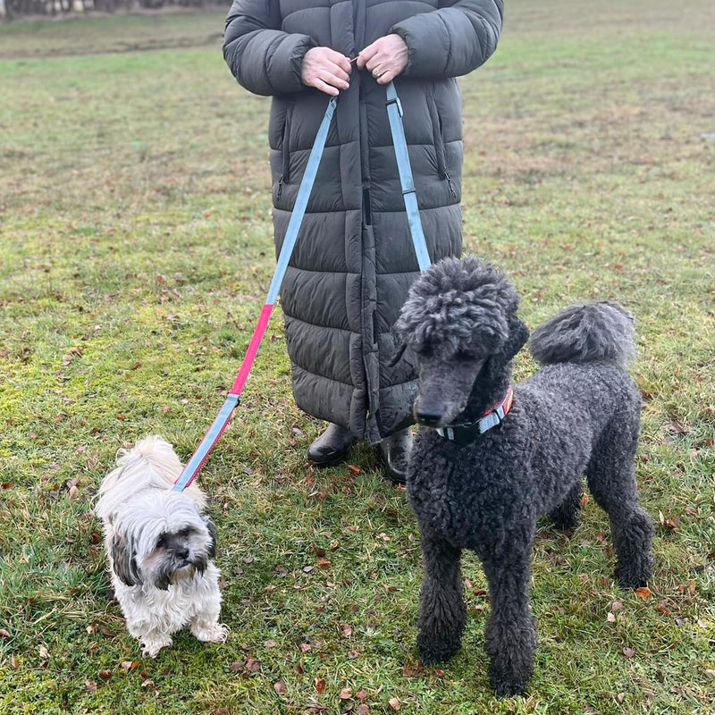 Retractable Dog Lead – Extendable Slip Lead for Small, Medium & Large Dogs, Hands-Free Anti Pull Leash with all harness Compatibility 1.5 to 2.5M Red.Grey One Size - PawsPlanet Australia