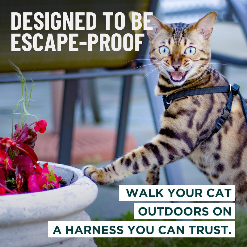 Houdini™ Escape Proof Cat Harness and Leash Set by OutdoorBengal – Red, Medium Cat Harness for Walking M/L - PawsPlanet Australia