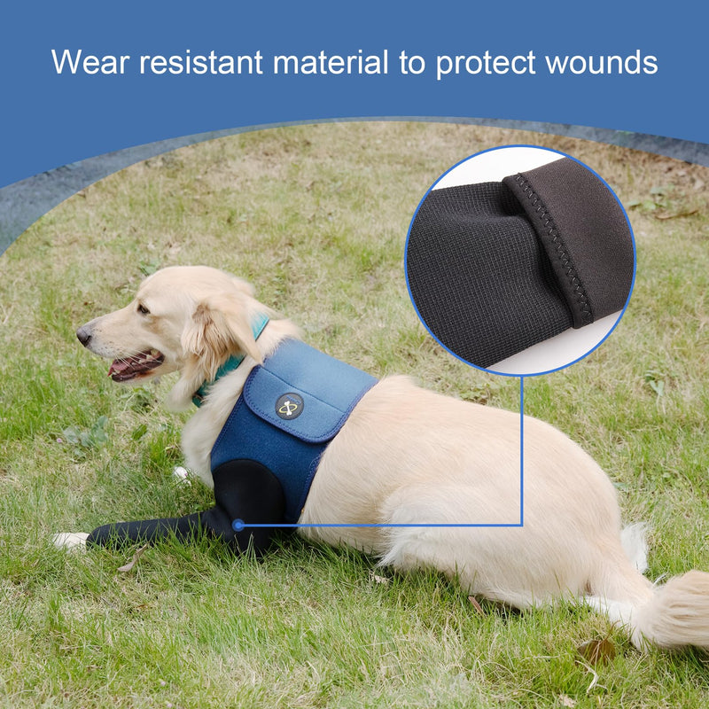 Dog Recovery Suit, Cone Collar Alternative, Abrasion Resistant Dog Recovery Sleeve, Washable 2.5mm Thick and Waterproof, Pet Wounds Prevent Licking, Bite, Keep Dry (L) Large - PawsPlanet Australia