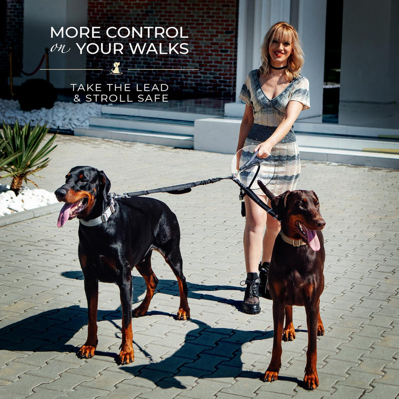 Premium Double Leash for Two Dogs – Shock Absorbing Anti Pull Double Lead for Medium & Large Breeds with Adjustable Dual Leash Attachment for 2 Dogs Adjustable Premium Black For 2 Medium/Large Dogs - PawsPlanet Australia