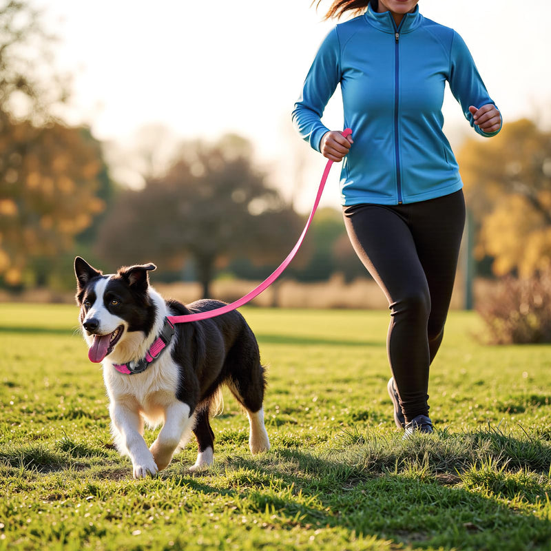 AirTag Dog Collar and Leash, IP68 Waterproof Integrated with Reflective, Ultra-Durable, Comfortable Padded, Heavy Duty Dog Collars for Small Medium Large Dogs, L (14.8"-20.3"), Pink L(14.8"-20.3") Set-Pink - PawsPlanet Australia