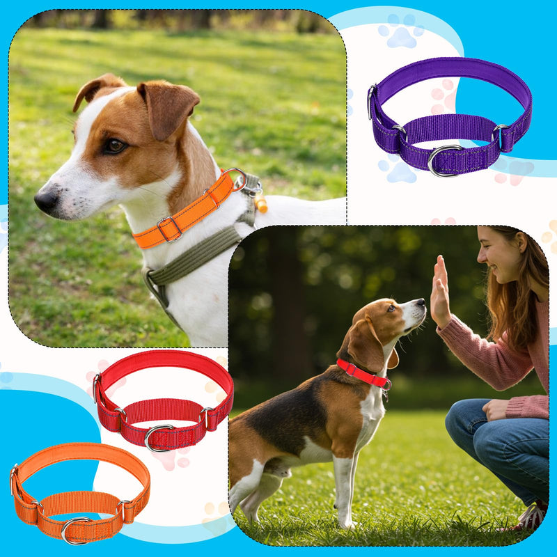 cobee 12 Pack Reflective Martingale Collars for Medium Dog, Adjustable Nylon Collar with Metal D Clip 12 Colors Pupplies Collar 14.2-18.9 Inch - PawsPlanet Australia
