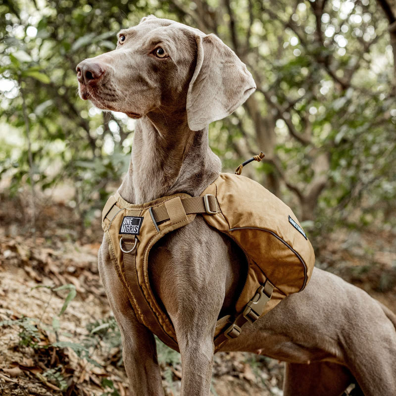 ONETIGRIS Y-Shaped Dog Backpack No Pull CAMLUS Dog Saddle Bag with D-Rings, Lightweight Dog Pack Hiking Gear for Dogs Hunting Camping Travel Medium Brown - PawsPlanet Australia