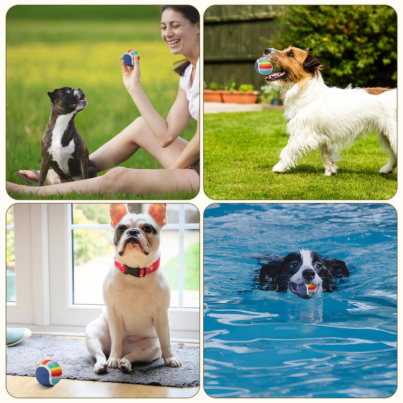 Nobleza Squeaky Tennis Balls for Dogs, 12 Pack 2.5“ Floatable Dog Tennis Balls for Small Medium Dogs, Training Safe Natural Rubber Dog Toys Balls for Dogs to Fetch Exercise, Rainbow - PawsPlanet Australia