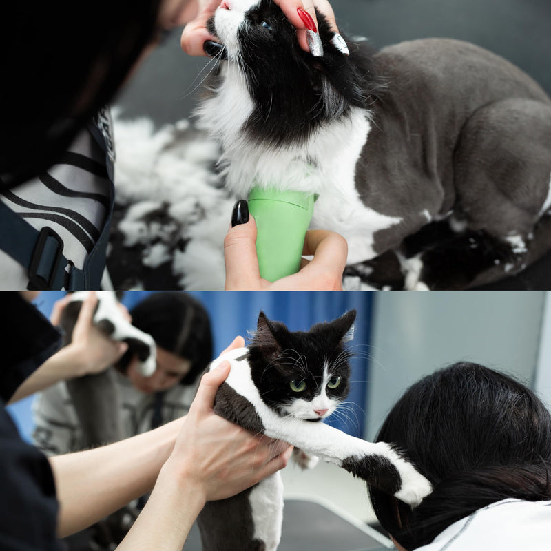 Detachable A Series 10 Cat Clippers Blade Cut Length 1.5mm Japanese Carbonized Steel Cat Grooming Supplies | Cat Grooming Blade Compatible A5 Series Clippers for Cat (10 Cat) 10C (1/16" - 1.5mm ) - PawsPlanet Australia