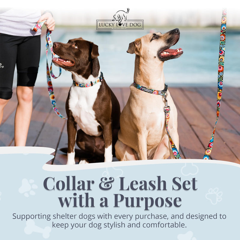 Lucky Love Dog - Easy Click Buckle Dog Collar with Leash Set Combo, Durable & Comfortable for Male & Female Dogs, Pet Collar for Small to Large Dogs, Secure Fit - Blackbird Combo, Small Small | 10-15" Blackbird Collar/Leash Combo - PawsPlanet Australia