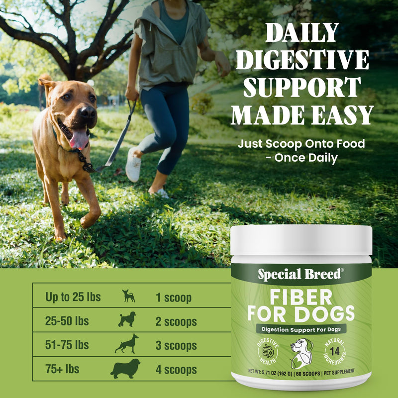 Fiber for Dogs – 9X Fiber Power - Digestive Supplement Powder with 14 Natural Ingredients – Supports Firm Stools & Gut Health Treatment– 60 Scoops