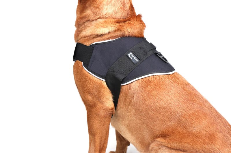 Mountain Paws Extra Tough Dog Harness | To Fit Chest Sizes 45–108cm, With Central Grab Handle And Reflective Piping Extra Large - PawsPlanet Australia
