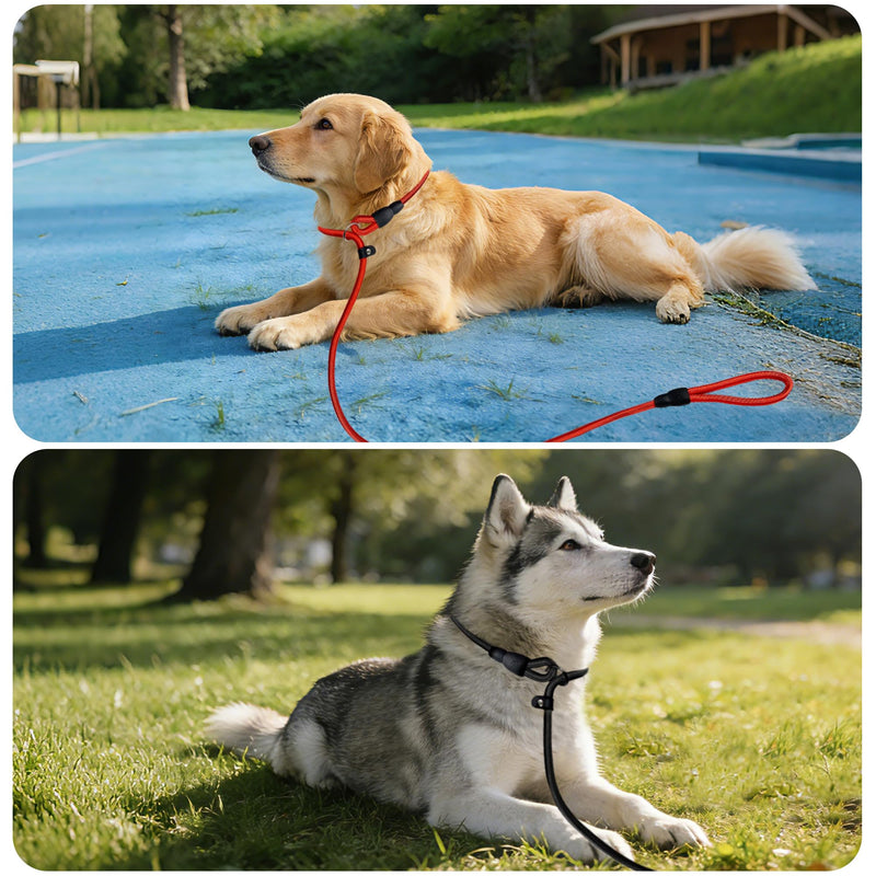 11-Piece Adjustable Dog Slip Leads 11 Colors, Adjustable - Easy On/Off, No Collar Needed, Standalone Use. Matches Outfits/Themes/Weather, High Value for Walking/Training