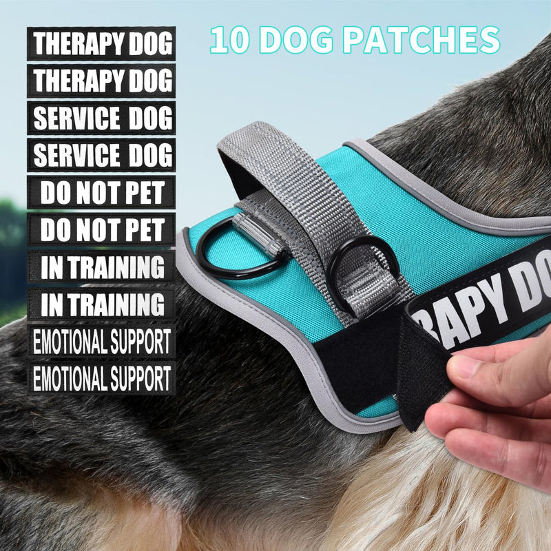 Dog Vest Harness and Leash Set, Animire Reflective Service Dog Vest with 10 Patches, 3 Rings No Choke Pet Vest for Leash Placement, in Training Dog Harness for Small Medium Large Dogs(Teal,XL) X-Large(Chest: 23.5-34.5 Inch) Teal - PawsPlanet Australia