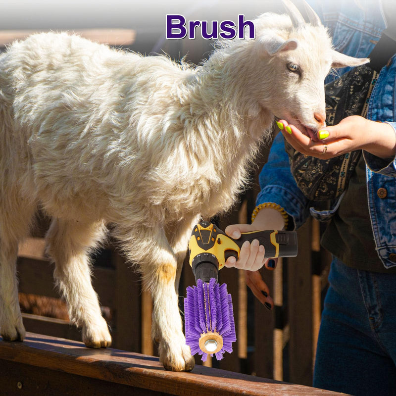 2 Pcs 5.35 inches Livestock Mini Drill Scratch Brush Purple Brush Grooming Kit Suitable for Cattle, Cows, Horses, Sheep and Pigs 5.35 Inch - PawsPlanet Australia
