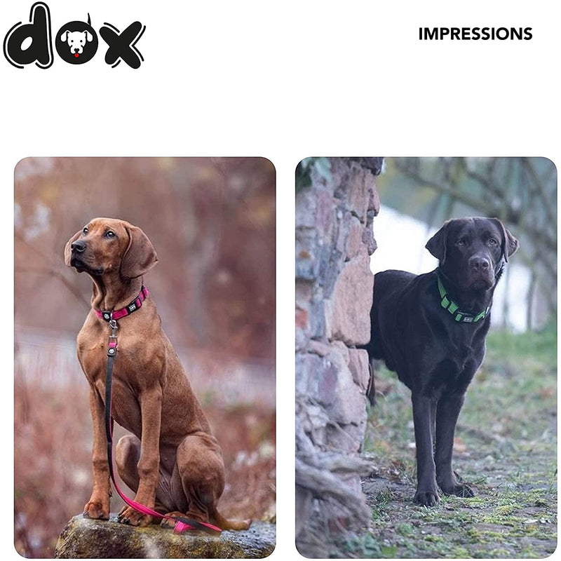 DDOXX Dog Collar Air Mesh, Adjustable, Padded | Many Colors & Sizes | for Small, Medium & Large Dogs | Collars cat Puppy pet Kitten | Yellow, XS XS - 0.6 x 8.3-12 in - PawsPlanet Australia