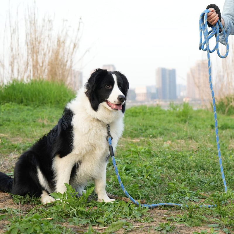 NTR Heavy Duty Dog Leash,15FT Long Rope Lead for Training with Swivel Lockable Hook,Reflective Threads and Comfortable Handle, Dog Lead for Walking,Hunting,Camping for Medium and Large Dogs 15ft*1/2" Blue - PawsPlanet Australia