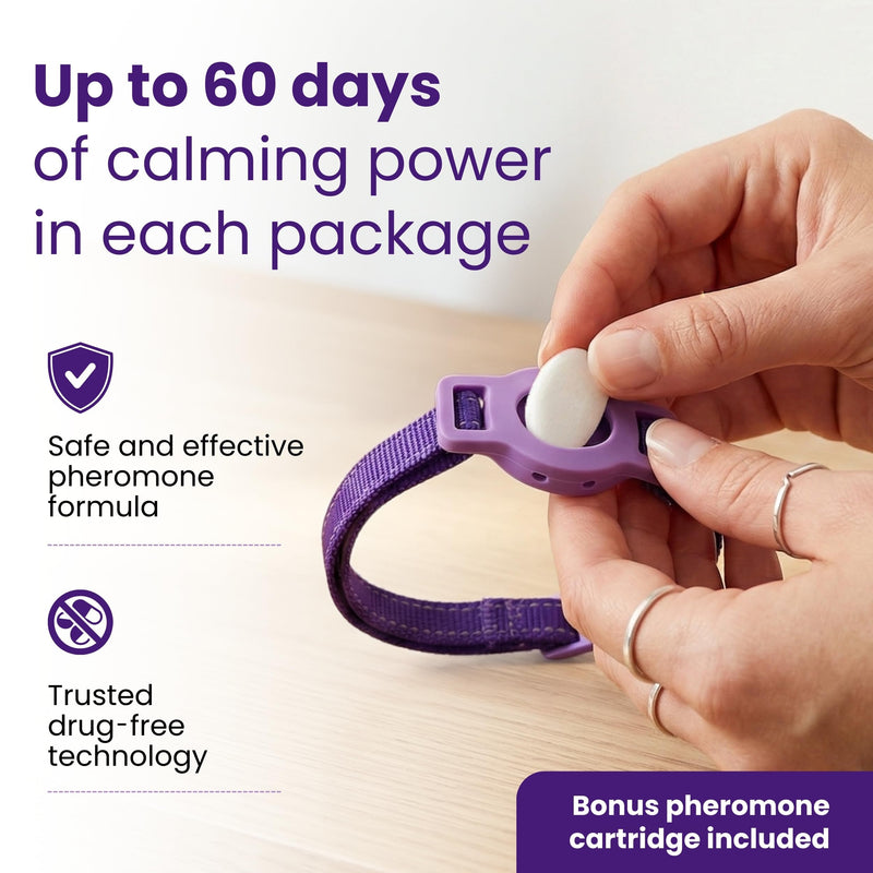 Breakaway Calming Collar Plus - Advanced Feline Pheromone System with Essential Oil Support for Cats – True Breakaway Safety Clasp, Reusable Design, Lasts Up to 60 Days – by Kitty Kompass
