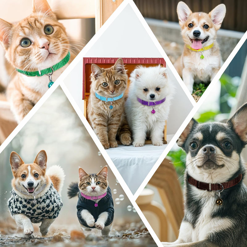 48 Pcs Dog Collar and Leash Set, Polypropylene Adjustable Puppy Collars for Medium Dogs Small Pet Puppy Walking Training with Hook and Buckle(Multicolor,Solid Pattern) - PawsPlanet Australia