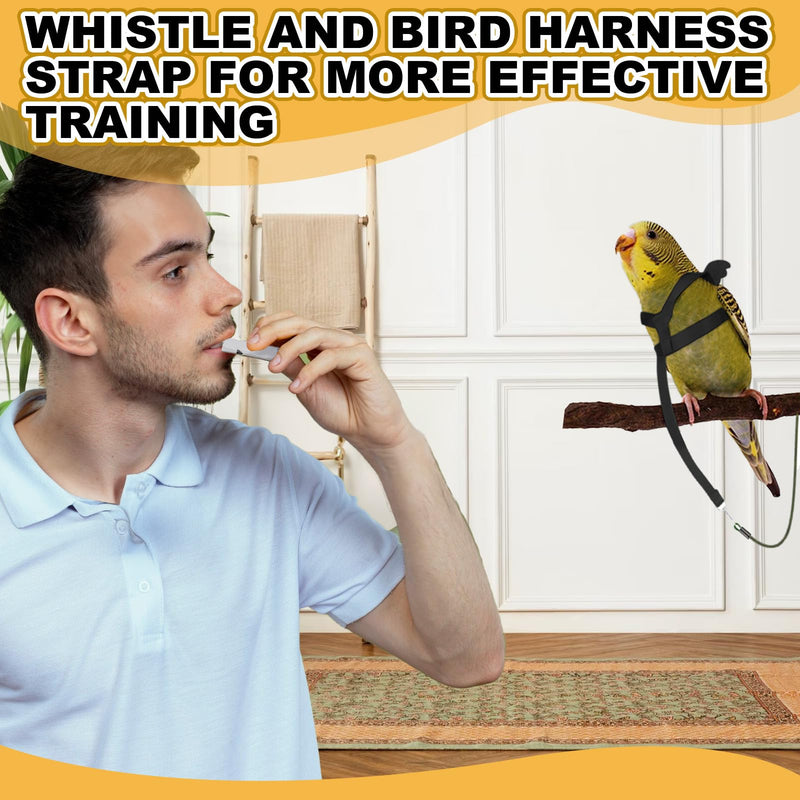 Bird Harness and Leash, Adjustable Outdoor Bird Training Leash with Training Whistle, Parrot Pet Harness Anti-Bite Nylon Rope Chest Harness for Buderigar, Lovebird, Pacific Parrolet (XS)