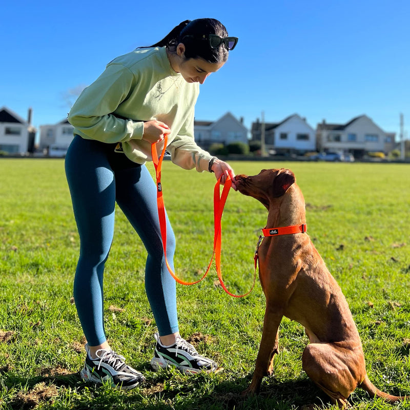 TwoEar Dog Leashes for Large Dogs Heavy Duty, Comfortable Soft Padded Handle, Double-Sided Reflective Nylon Dog Leash for Medium & Large Dogs Walking Orange - PawsPlanet Australia