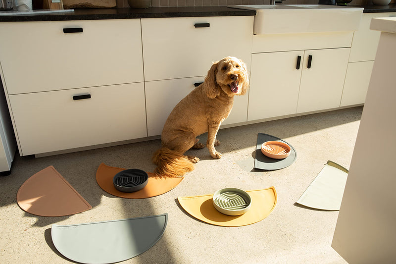 Slow Feeder Dog Bowl: The Slowdown Bowl is A Modern, Silicone Puzzle Bowl & Lick Mat. Slow Eating, Stop Gulping, Take It Easy. Dishwasher Safe. Sage Green - PawsPlanet Australia