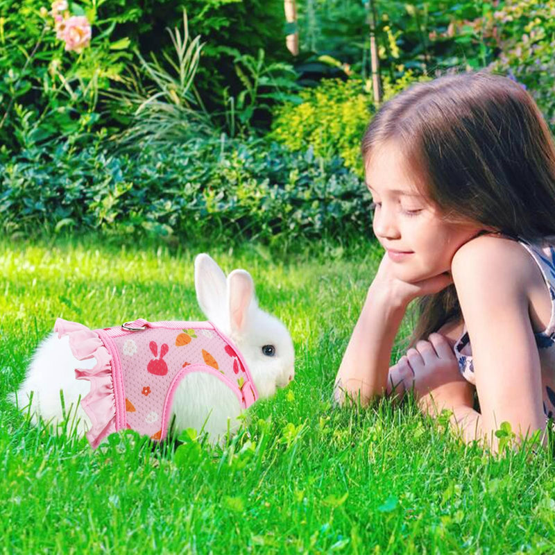 Carrot Pattern Mesh Bunny Harness Rabbit Vest-Harness with Adjustable Straps for Small Animals Bright Colors Rabbit Harness with Leash for Kitten Rabbit Bunny Outdoor Walking L Large - PawsPlanet Australia
