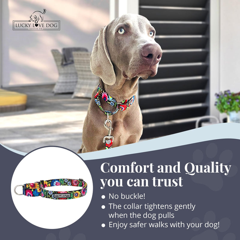 Lucky Love Dog Martingale Dog Collar - Adjustable, No-Slip, Durable, & Soft Webbing Collar for Male and Female Dogs Ideal for Training & Walking - Blackbird, Medium Medium Collars (13-21") - PawsPlanet Australia