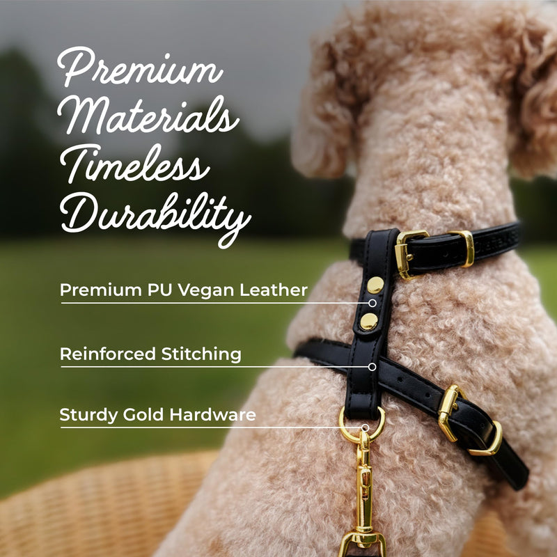 Luxury No Pull Dog Harness and Leash Set, PU Leather Escape-Proof design, Anti-Choke Comfort, Front/Back Attachment, Essential Pet Supplies for Everyday Walks & Training (Harness Leash Set -Black, XL) Harness Leash Set -Black XL-ExtraLarge - PawsPlanet Australia