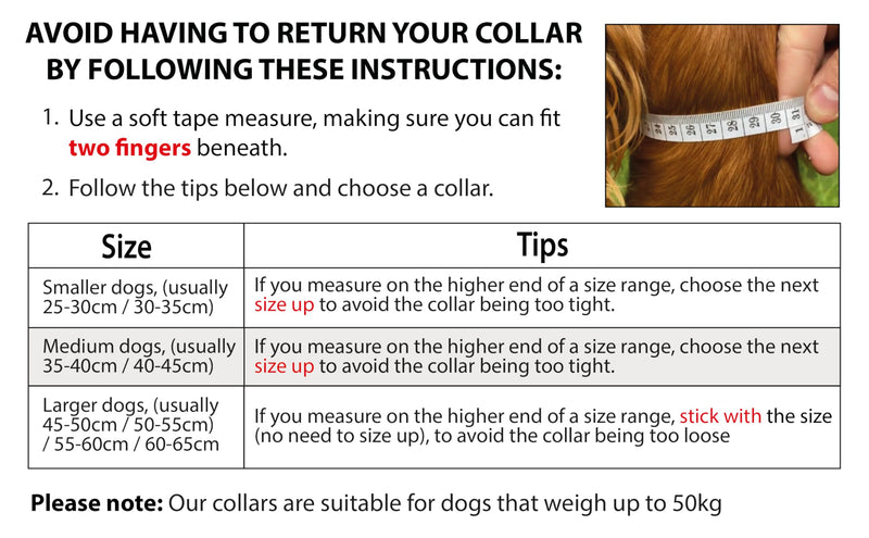 Elite Paws® UK: Premium Metal Buckle Dog Collar, Strong, Safe, Padded, Comfortable, Reflective, Adjustable, Secure Fit with Metal Lead Attachment, Puppy Walking/Training Product (50cm-55cm, Blue/Grey) Neck: 50cm-55cm