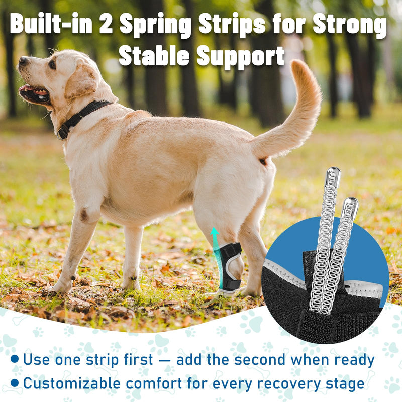 Dog Leg Braces for Back & Front Legs- Dog Hock & Ankle Joint Brace for Weak Back Legs with 2 Metal Strips, Reflective Trim for Sprain, Injury, Arthritis, Wound Recovery,Black,XL Black XL