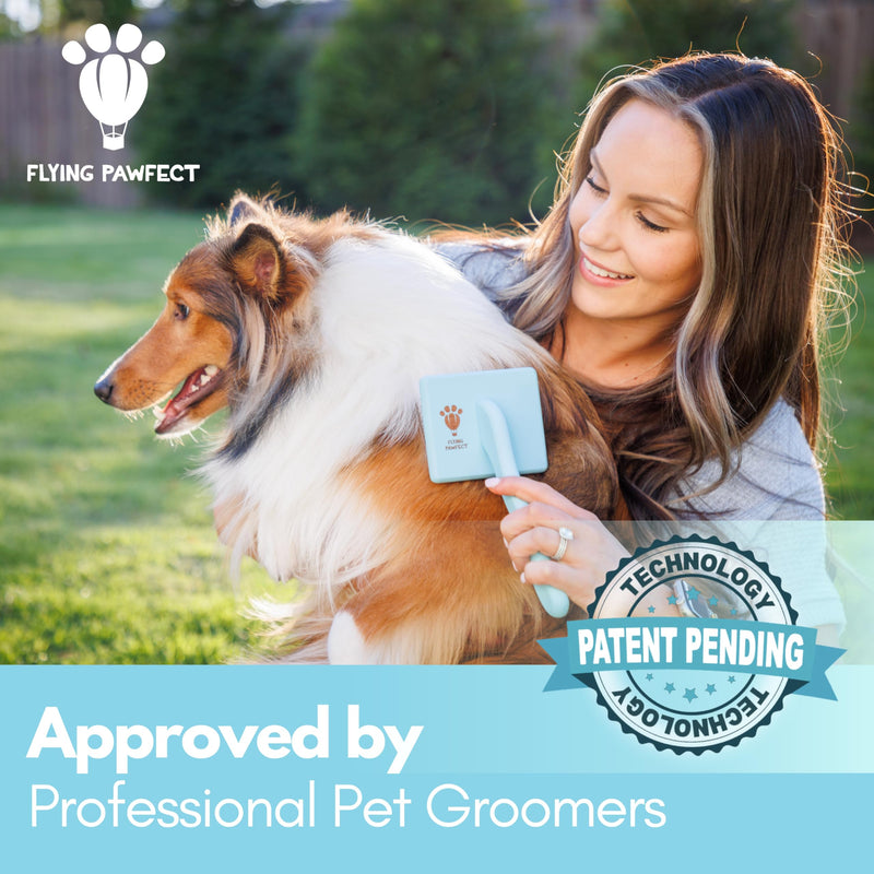 Pet Slicker Brush With Soft Massage Grooming Stainless Steel Pins - For Dematting, Shedding Fur, and Undercoat - Ideal Gift for Professional Pet Groomers - Long Slicker Brush - Flying Pawfect Flat Large (3-Pack) Coral & Baby Blue - PawsPlanet Australia
