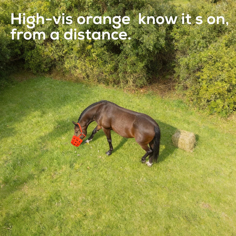 Durable Ventilated Grazing Muzzle with Attached Breakaway Halter - Lightweight Horse Muzzle, Supports Natural Grazing, Restricts Food Intake, Padded Noseband Onyx Orange